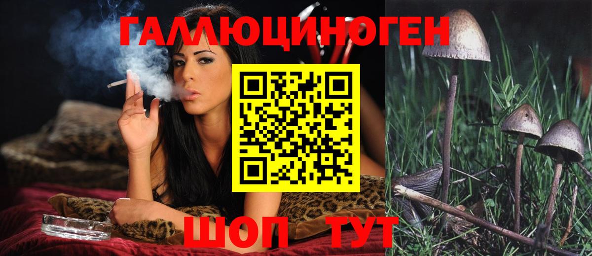 Галлюциногенные грибы Cubensis Архангельск